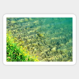 Overview from Santarelli lakes with greenery, yellow flowers and crystalline waters with stones Sticker